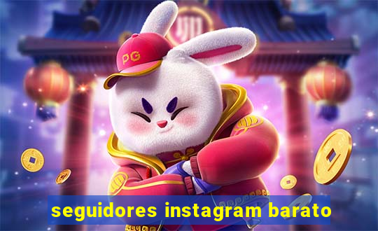 seguidores instagram barato